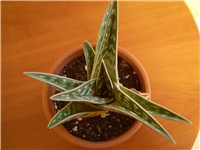 0d5298f2-Picture 920.jpg